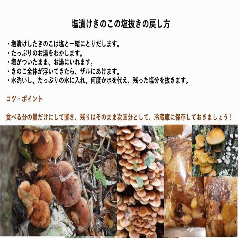 天然きのこMIX塩蔵6.5㎏☆ 【公式通販】