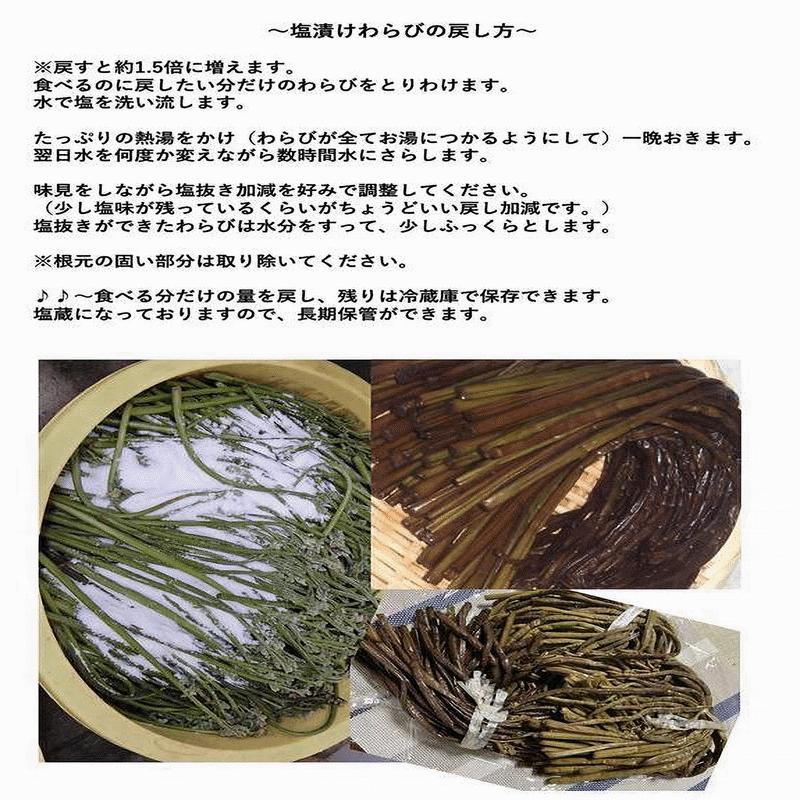 天然山菜 わらびの塩漬け/4Kｇ 自然の恵み 限定予約販売 山形県飯豊町産 送料無料の画像