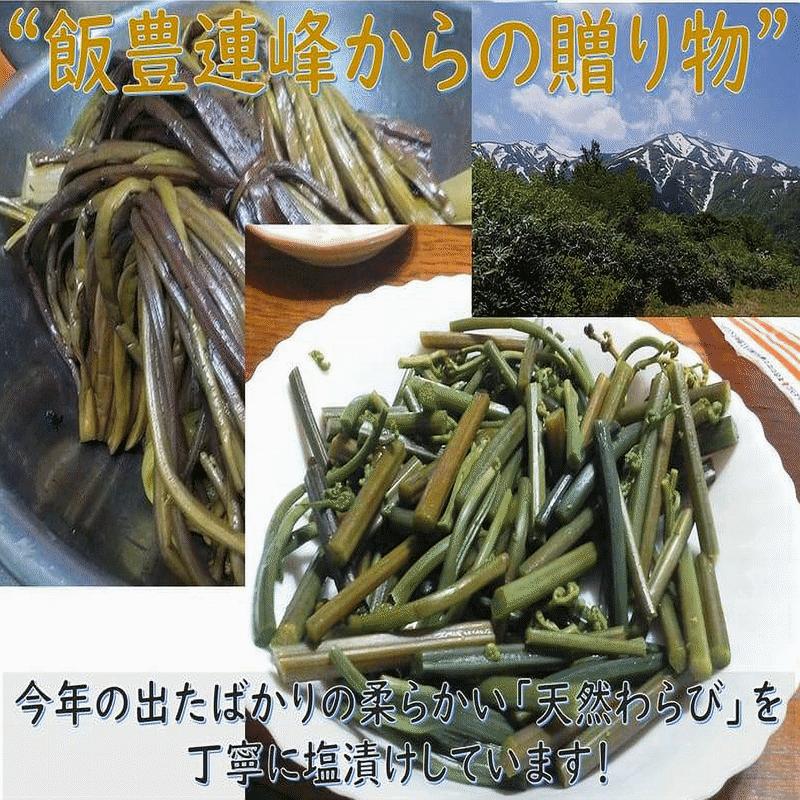 天然山菜 わらびの塩漬け/4Kg 自然の恵み 限定予約販売 山形県