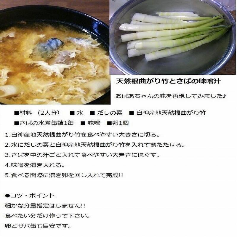 天然山菜 天然根曲がり竹/１Kｇ自然の恵み 限定予約販売 山形県飯豊連峰 送料無料 クール便｜cmtdesign｜11