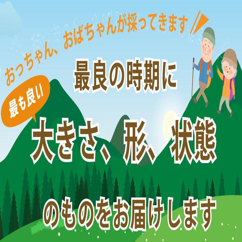 天然山菜 天然根曲がり竹/１Kｇ自然の恵み 限定予約販売 山形県飯豊連峰 送料無料 クール便｜cmtdesign｜05