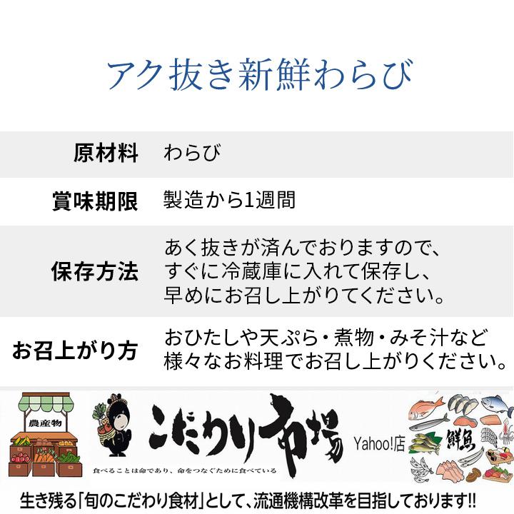 予約販売 天然山菜 あく抜きわらび/3Kｇ 自然の恵み 山形県飯豊町産 送料無料の画像