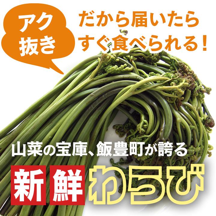 予約販売 天然山菜 あく抜きわらび/5Kｇ 自然の恵み 山形県飯豊町産 送料無料の画像