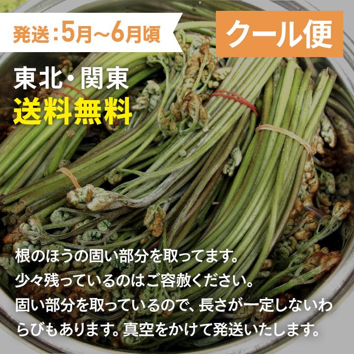 予約販売 天然山菜 あく抜きわらび/5Kｇ 自然の恵み 山形県飯豊町産 送料無料の画像