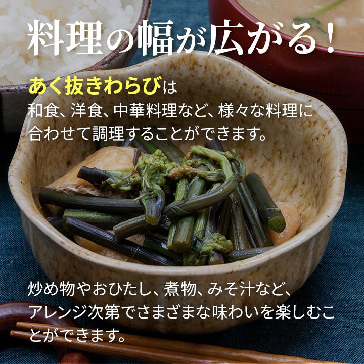 予約販売 天然山菜 あく抜きわらび/5Kｇ 自然の恵み 山形県飯豊町産 送料無料の画像