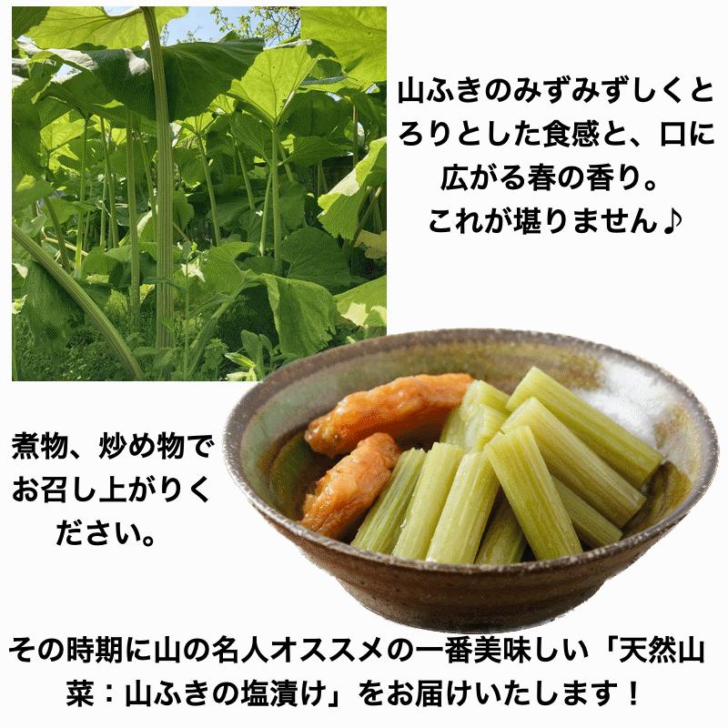 予約販売 天然山菜 山ふきの塩漬け1Kg 自然の恵み 山形県飯豊町産 送料 