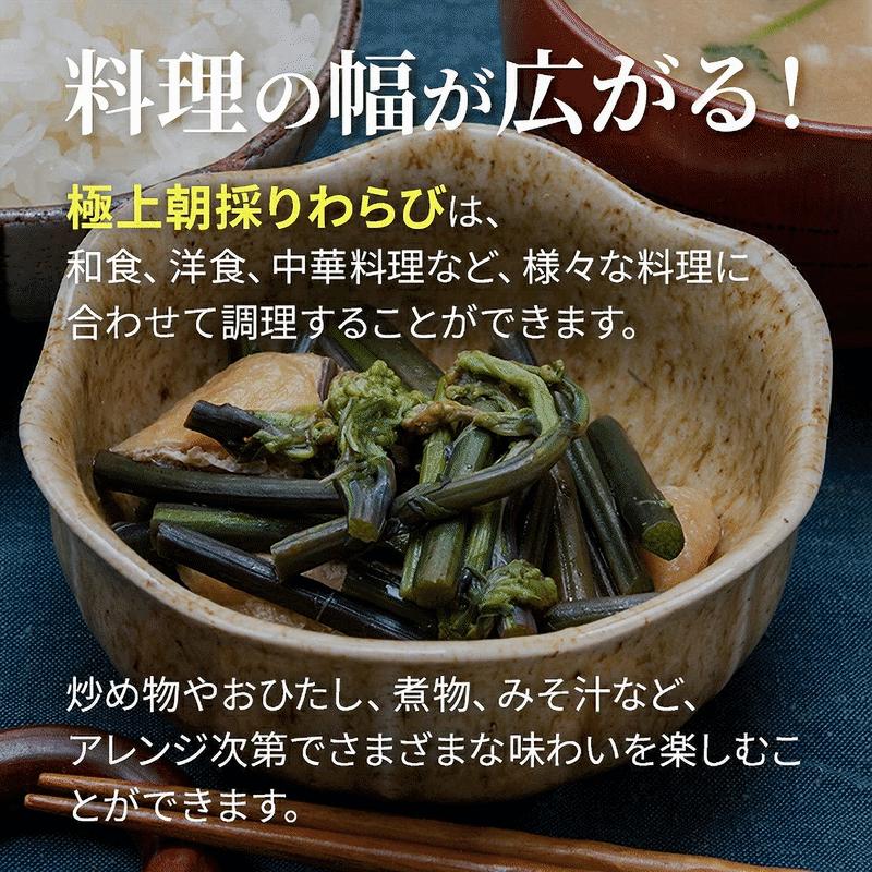 早期予約受付中 天然山菜 天然生わらび/１０Kｇ 宮城県産 自然の恵み 限定予約販売 送料無料の画像