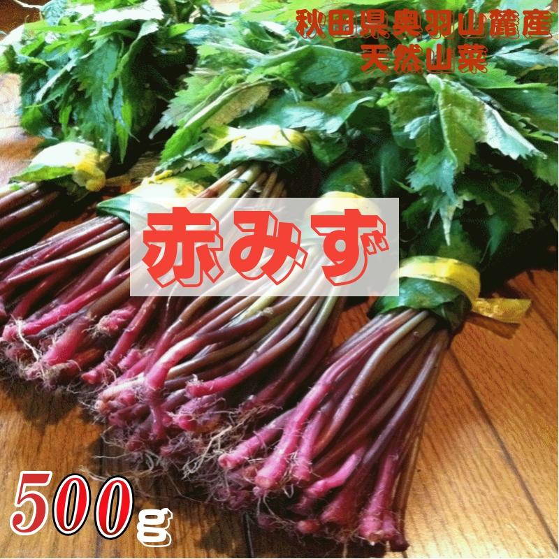 天然山菜 完全予約販売 秋田県産天然みず ウワバミソウ 500g 産地直送