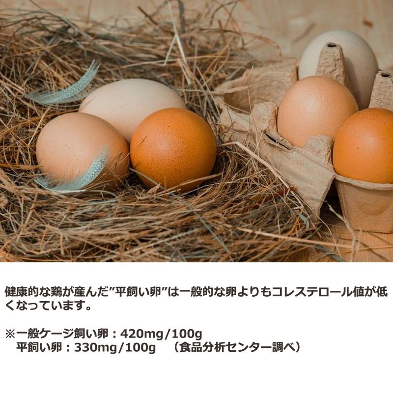 平飼い卵 山形県飯豊町産 24個（6個入/パック×4パック）産地直送