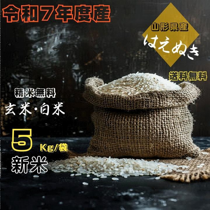 米 定期配送 20Kg 販売 送料無料 当日精米 令和7年度産 山形県産 お米