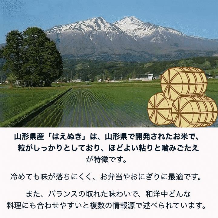 米 定期配送 20Kg 販売 送料無料 当日精米 令和7年度産 山形県産 お米