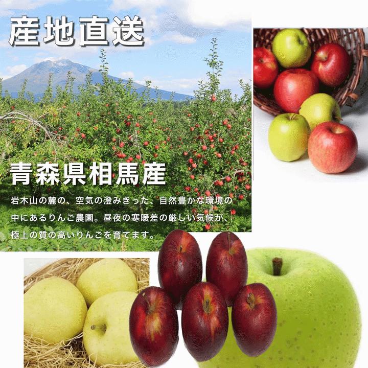 りんご 果物 青森県津軽産りんご 紅玉 ご家庭用 3Kg/箱【送料無料