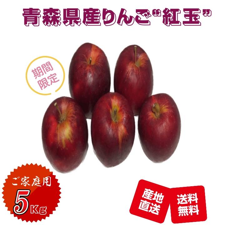 りんご 果物 青森県津軽産りんご 紅玉 ご家庭用 5Kg/箱【送料無料 