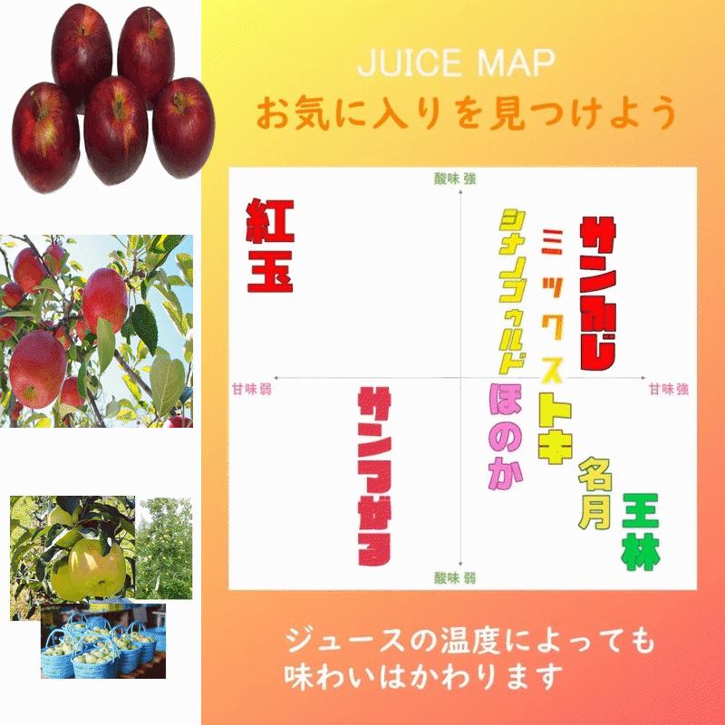 リンゴジュース 青森県産 100％ストレートりんごジュース トキ 無添加