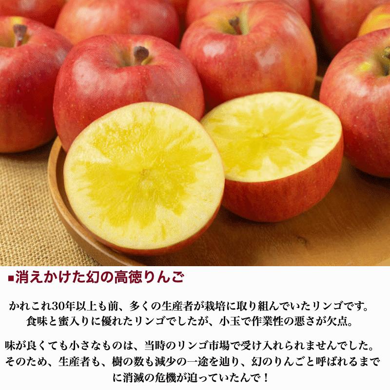 リンゴジュース 青森県産 100％ストレートりんごジュース 高徳 こみつ