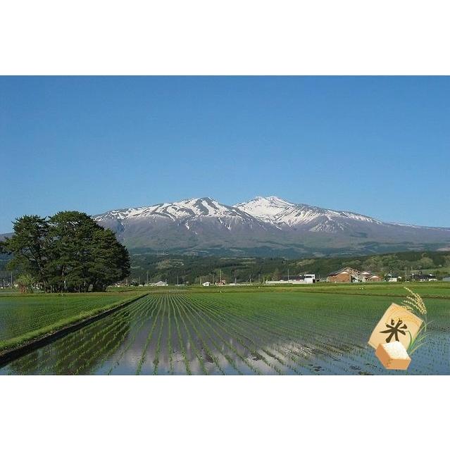 30kg つや姫 令和7年産 山形県産 | : 玄米 米 食品・飲料・お