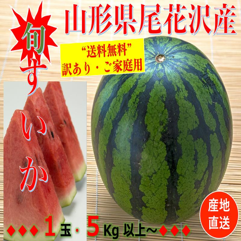 早期予約受付中 山形県産 1玉 1箱 Lサイズ ご家庭用 早期予約受付中 山形県産 1玉 1箱 Lサイズ ご家庭用