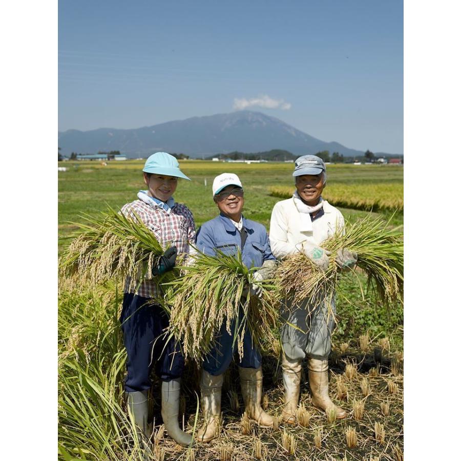 無洗米５Kg ひとめぼれ 米 岩手県雫石産  白米・分づきにお好み精米 送料無料 当日精米｜cmtdesign｜17