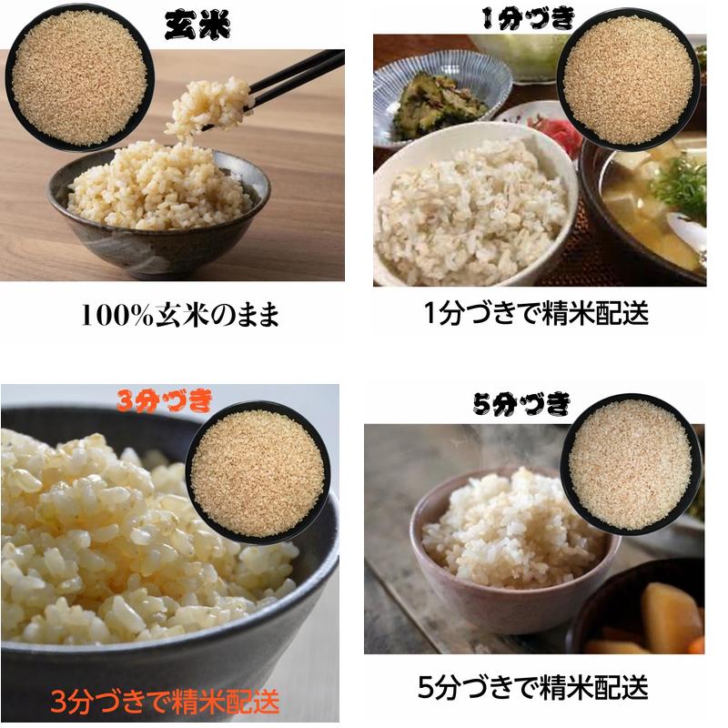 無洗米５Kg 銀河のしずく 米 岩手県雫石産  白米・分づきにお好み精米 送料無料 当日精米｜cmtdesign｜06