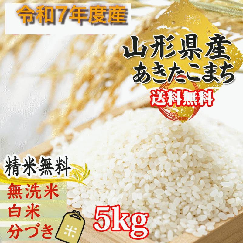 山形県産あきたこまち 米 玄米 10kg 令和5年産 精米無料 白米 分づき