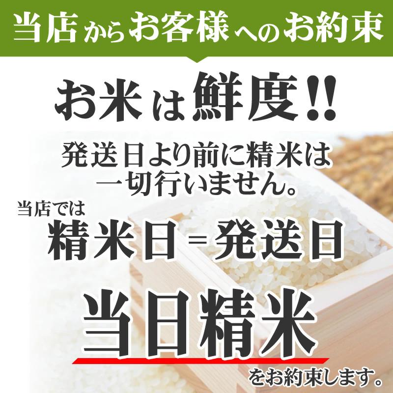 山形県産あきたこまち 米 玄米 10kg 令和5年産 精米無料 白米 分づき