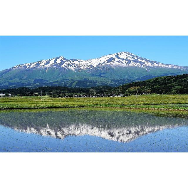 山形県産雪若丸 米 玄米 30kg 令和7年産 精米無料 白米 分づき 当日精米 送料無料_10