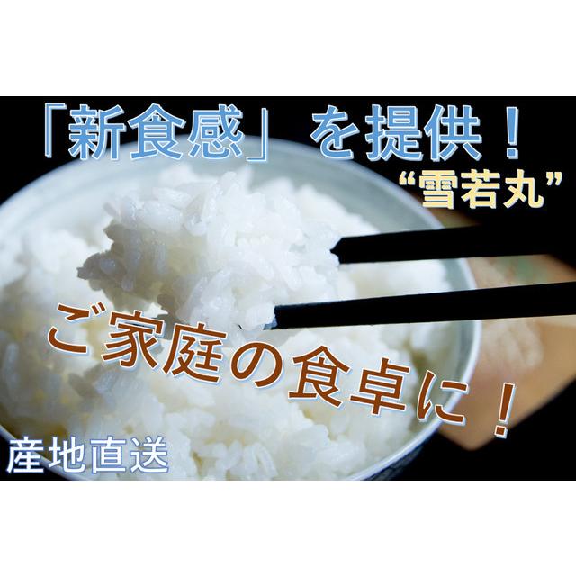 山形県産雪若丸 米 玄米 30kg 令和7年産 精米無料 白米 分づき 当日精米 送料無料_3