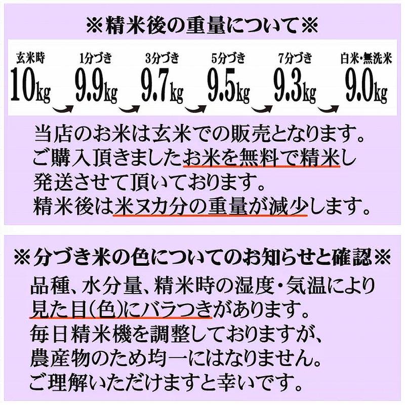 山形県産雪若丸 米 玄米 30kg 令和7年産 精米無料 白米 分づき 当日精米 送料無料_8