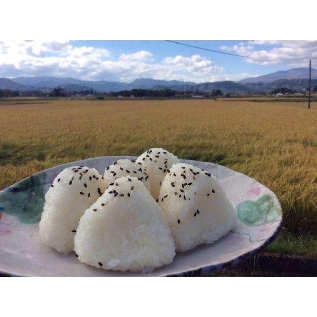 無洗米５Kg ひとめぼれ 米 岩手県雫石産 白米・分づきにお好み精米 送料無料 当日精米｜cmtdesign｜20