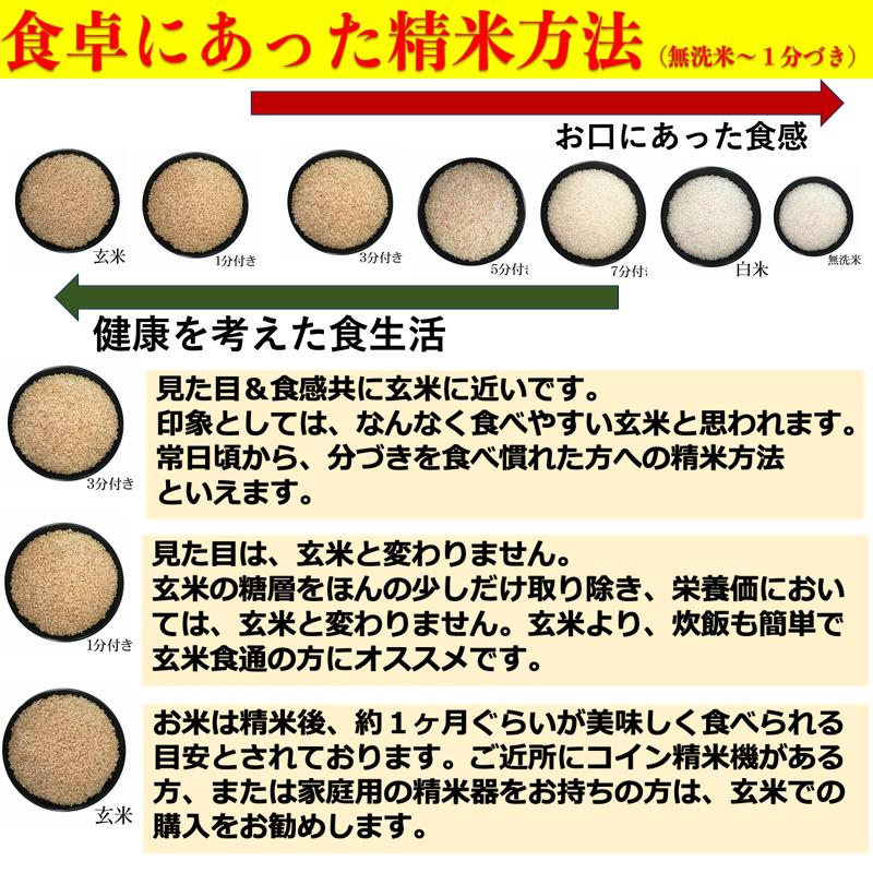 無洗米５Kg ひとめぼれ 米 岩手県雫石産 白米・分づきにお好み精米 送料無料 当日精米｜cmtdesign｜06