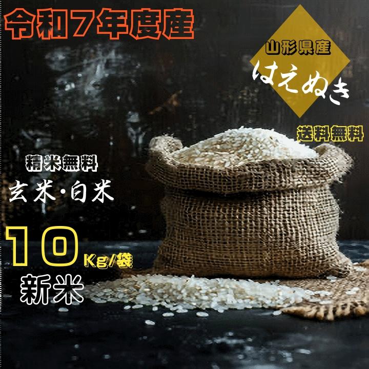 新米 10Kg 販売 送料無料 当日精米 令和7年度産 山形県産 お米