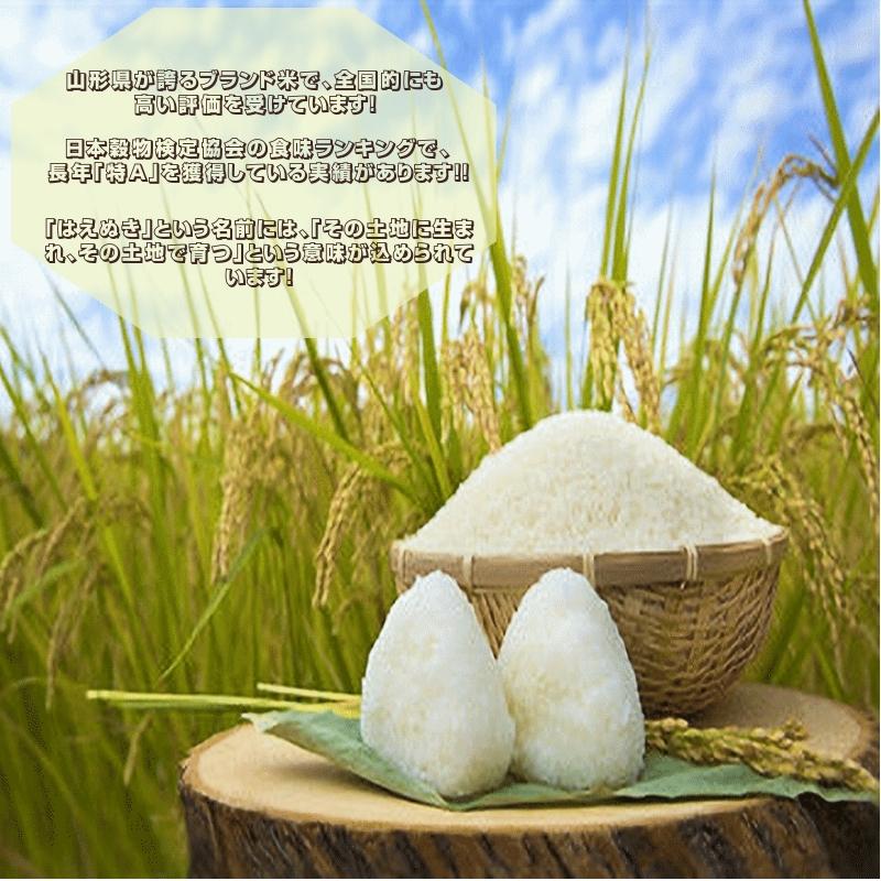 新米 10Kg 販売 送料無料 当日精米 令和7年度産 山形県産 お米