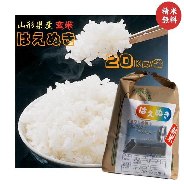 はえぬき 20kg 中米 業務米 新米 山形
