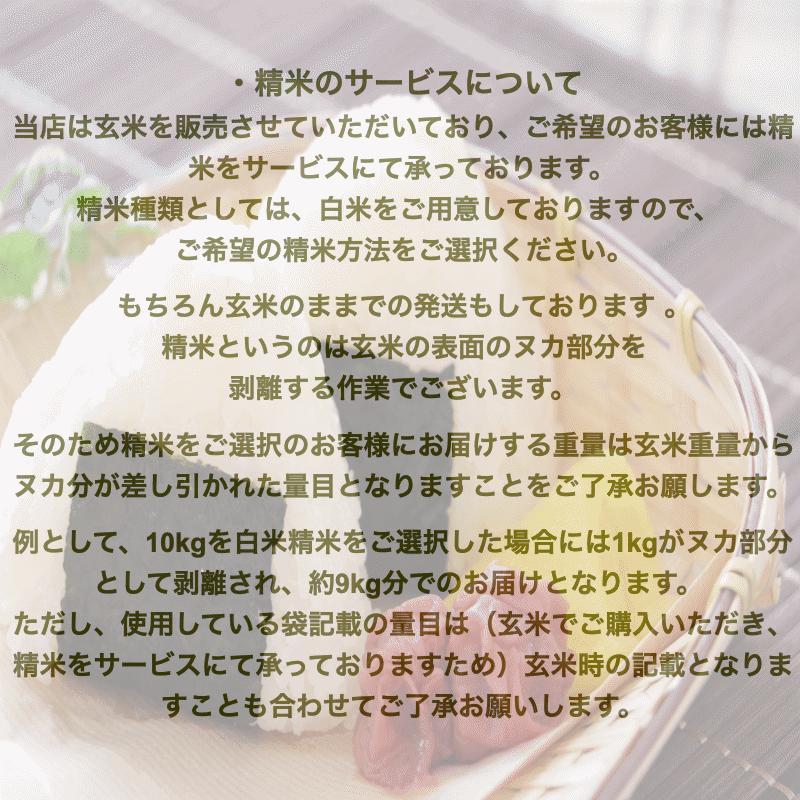 新米 20Kg 販売 送料無料 当日精米 令和7年度産 山形県産 お米