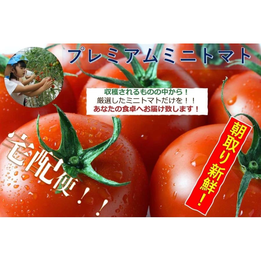 ミニトマト ラブリーさくら 新作からsaleアイテム等お得な商品満載 訳あり 1kg 箱 山梨県産 産地直送
