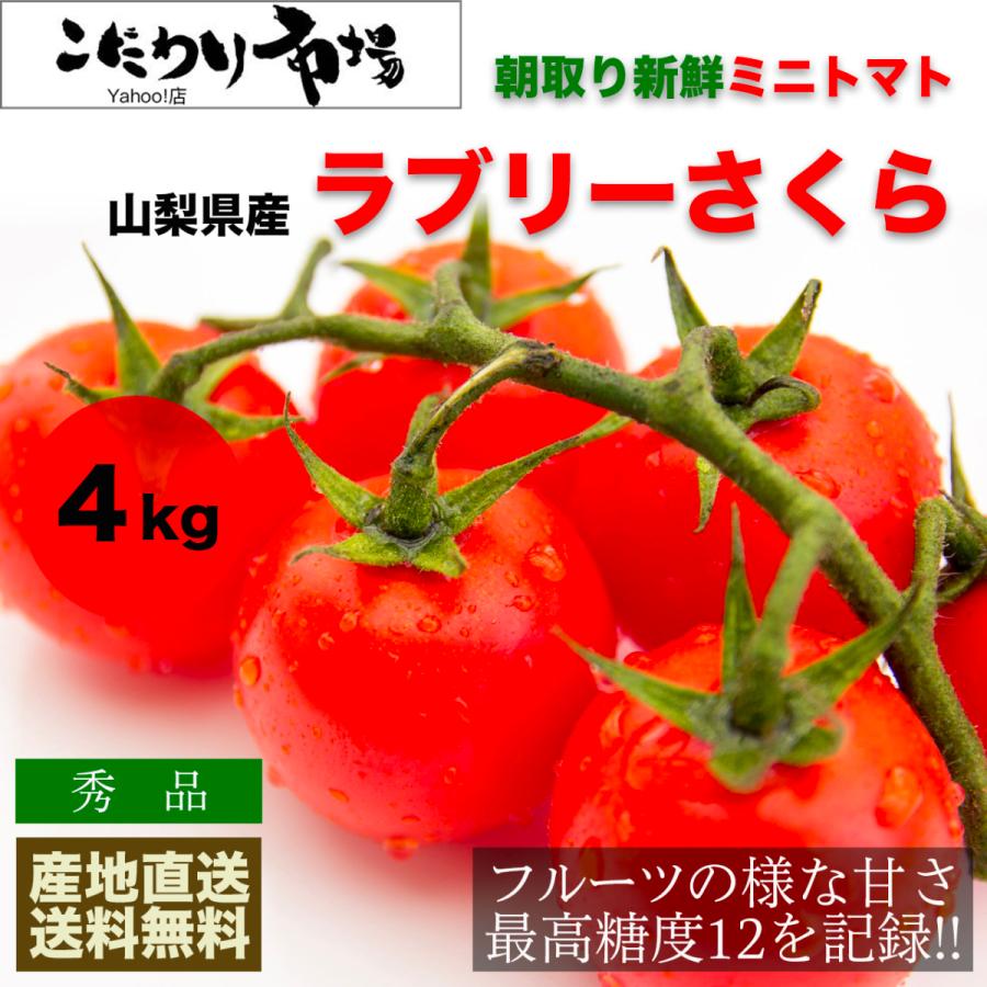 全ての ミニトマト ラブリーさくら 秀品 4kg 箱 山梨県産 Web限定 Www Univag Tn