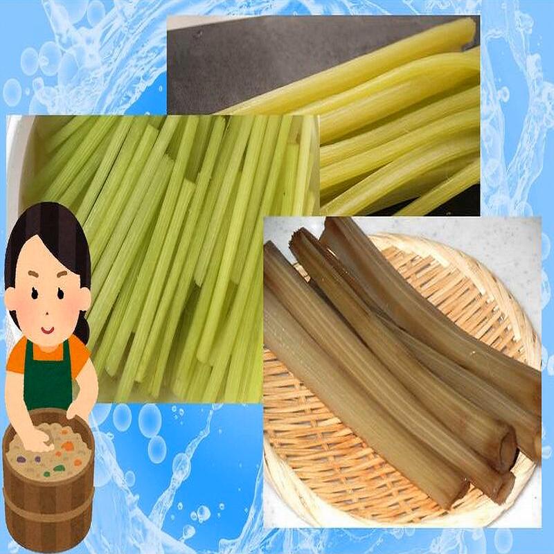 予約販売 天然山菜 山ふきの塩漬け5Kg/箱 自然の恵み 山形県飯豊町産