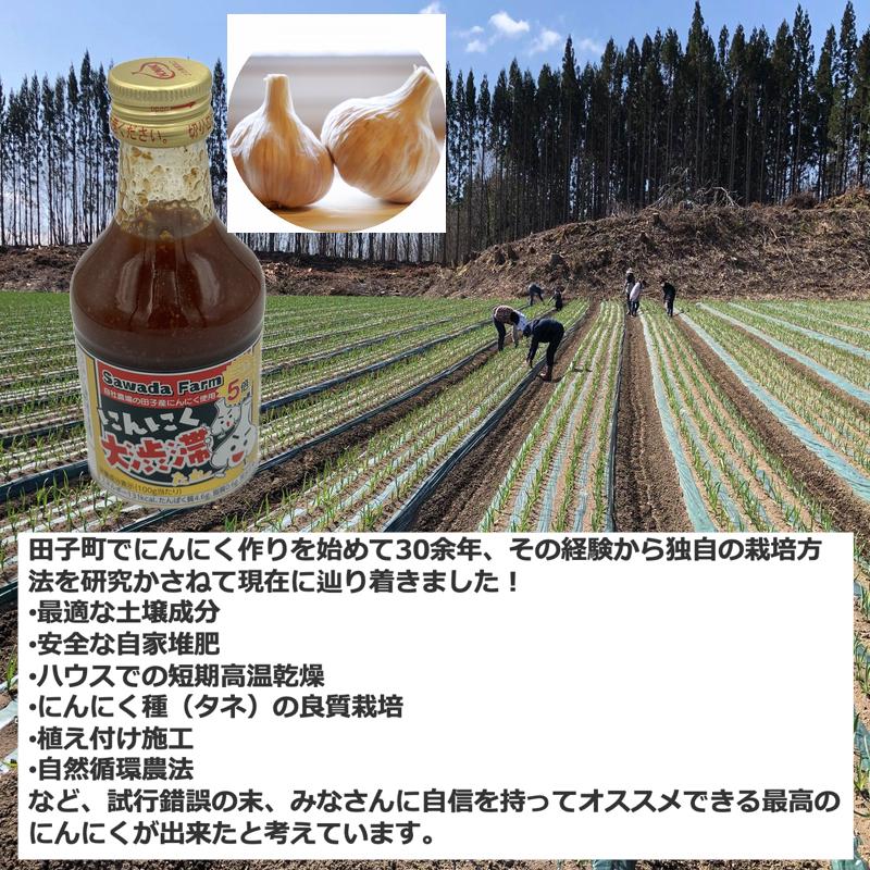 焼肉のたれ にんにく大渋滞たれ 青森県産 12本セット（300g/本