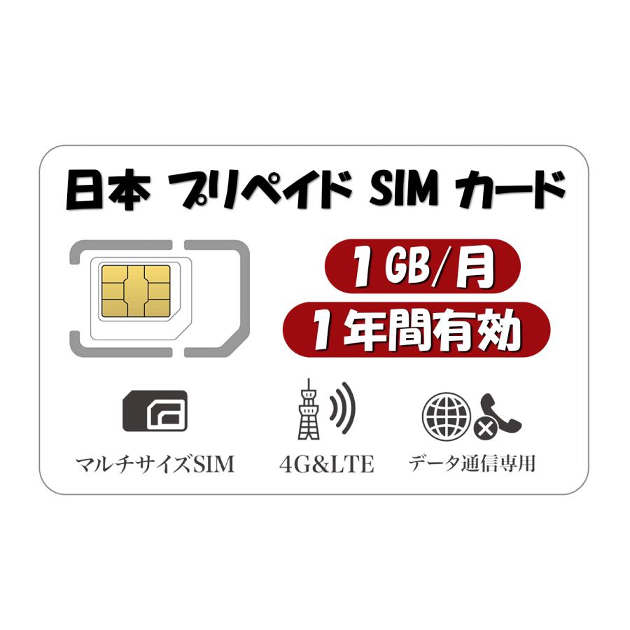 日本 プリペイドSIM 1GB/月1年間有効 Docomo回線 4G-LTE対応 データ 