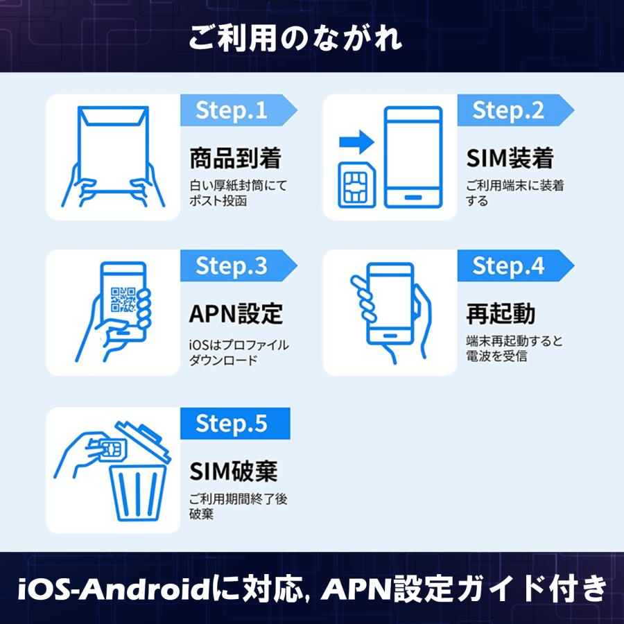 日本 プリペイドSIM 1GB/月1年間有効 Docomo回線 4G-LTE対応 データ