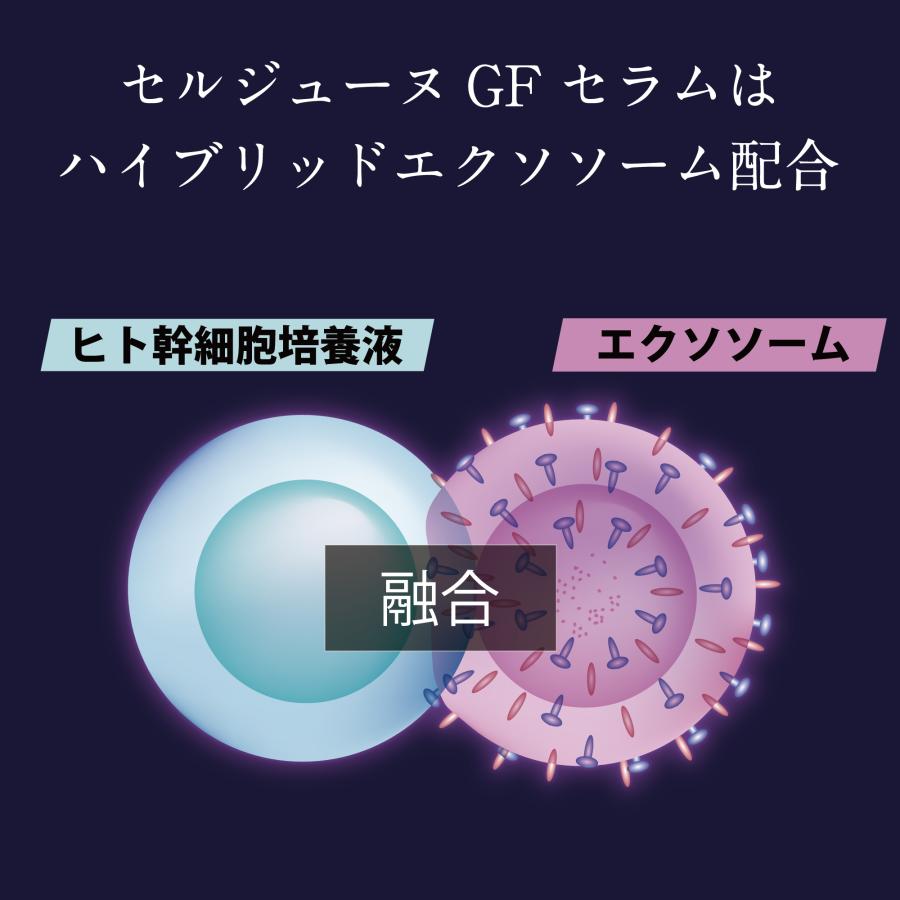 セルジューヌ GFセラム 美容液 2本セット 【公式通販】