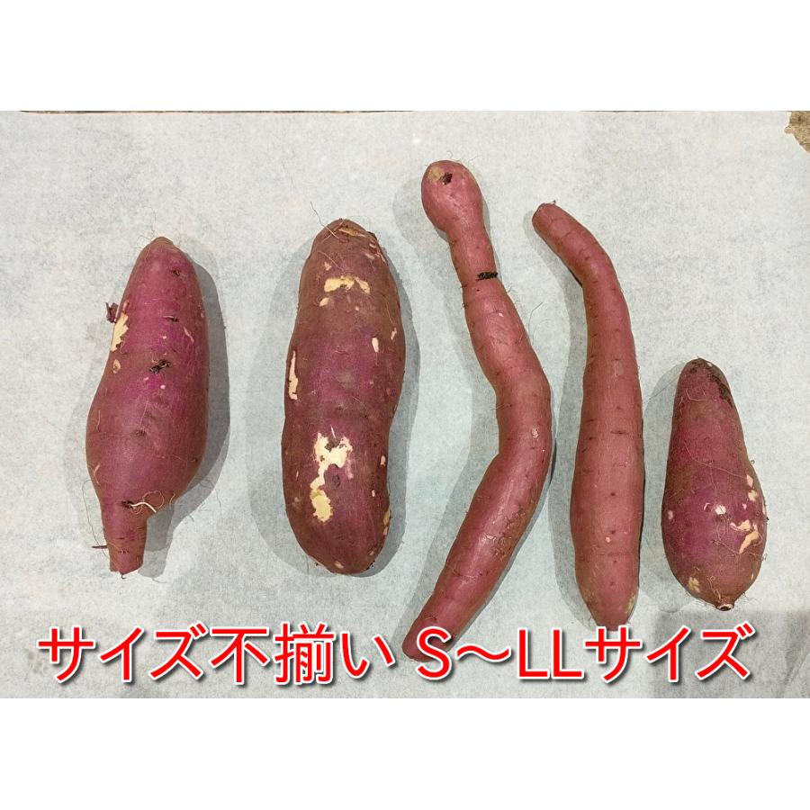 難あり　千葉県産　べにはるか　さつまいも　Mサイズ　約20.0㎏ さつまいも 紅はるか 千葉県産 訳あり B品 約4.5kg サイズ不揃い