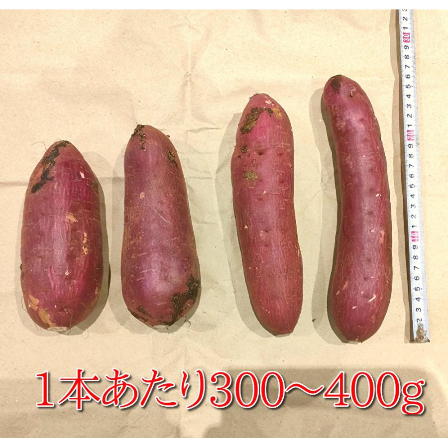 さつまいも 紅はるか 千葉県産 A級品 約4.5kg Lサイズ : うまい さつまいも 紅はるか 千葉県産 A級品 約4.5kg Lサイズ : うまい