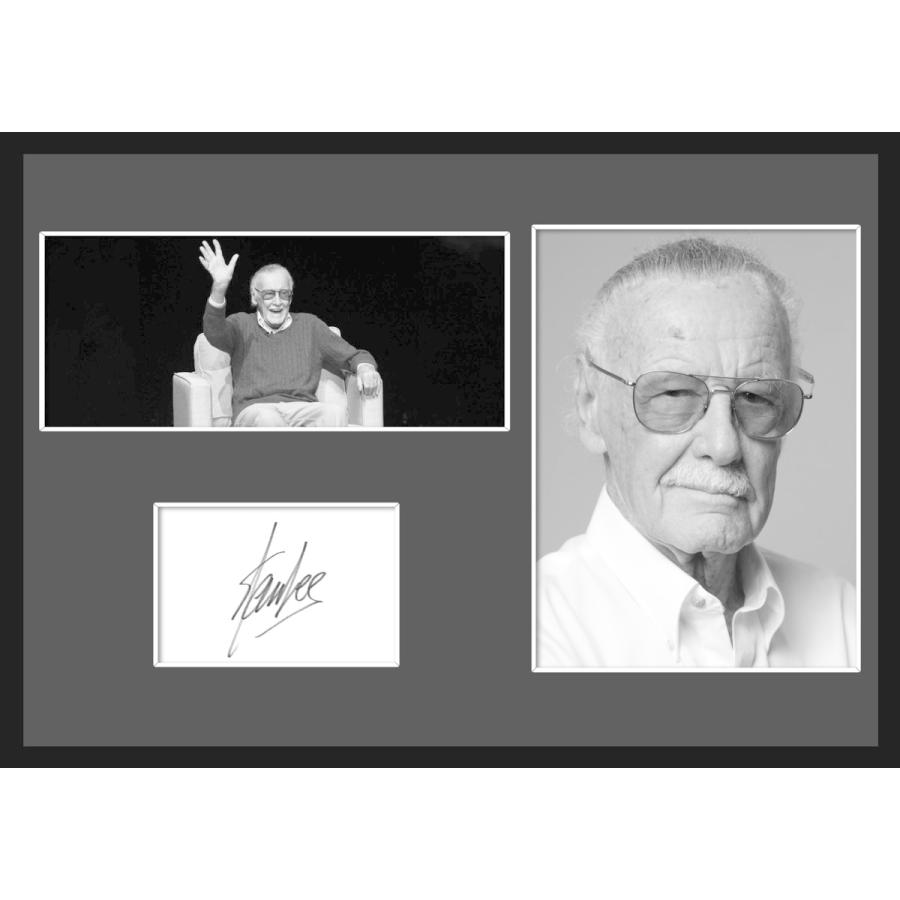 10種類!スタン・リー/Stan Lee/マーベル・コミック/アメコミ