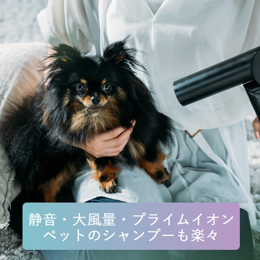 選択】cadre hair dryer カドレ ヘアードライヤー 爽快 湿気 ダメージ