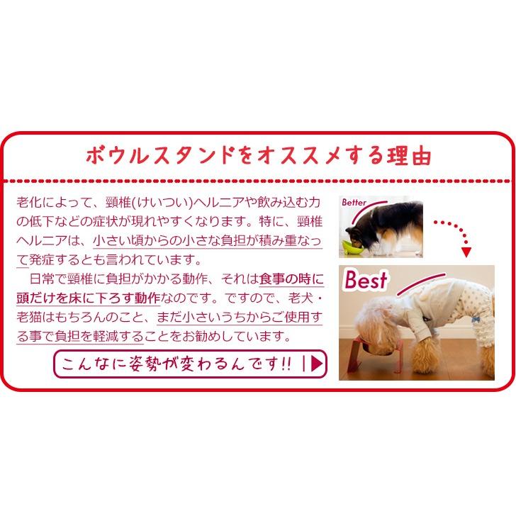 ハイタイプ フードボウルテーブル 2皿 犬 犬用 おしゃれ 餌入れ 餌台 エサ入れ エサ台 食器台 おしゃれ餌入れ Ma Co Chi Warmth 通販 Yahoo ショッピング