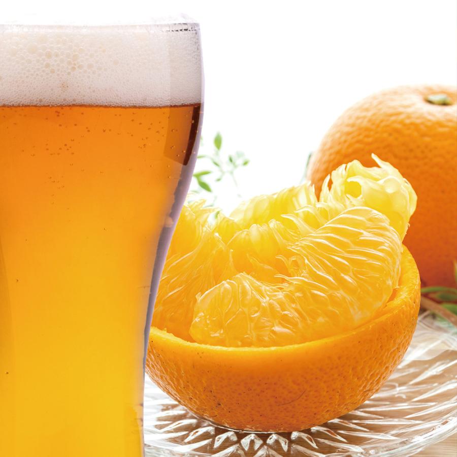 ★KIXBEER はっさくビール6本＆6種各1本 12本セット【ペールエール、アンバーエール、ヴァイツェン、ヴァイツェンボック、デュンケル、小麦のラガー】 |  | 01