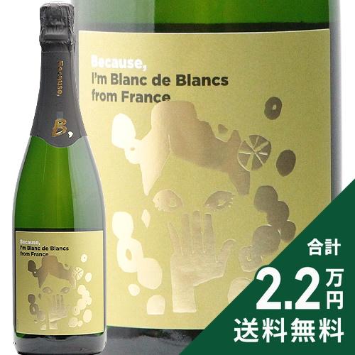 2 2万円以上で送料無料 フランス Nv スパークリング ド ビコーズ ブラン 高品質の人気 ブラン