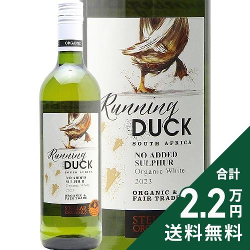 白ワイン ステラー ランニング ダック ホワイト 2023 : COCOS