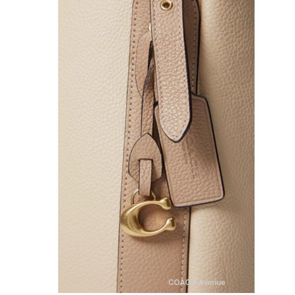 COACH（コーチ） なくなり次第終了セール COACH C8366 アラナ レザー